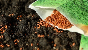 Aanleveren DUS-materiaal