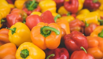 Gazette of the Board for plant varieties June 2024 is published