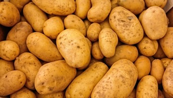 Inlevereisen aangepast TPS aardappel