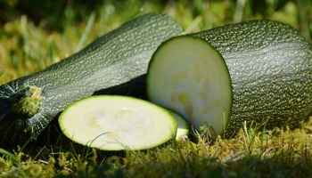 Closing and submission date for marrow (courgette) bush types brought forward by 2 weeks